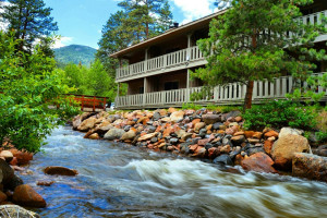 Pine Haven Cabins
